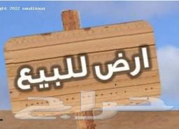 ارض للبيع