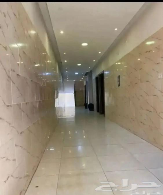 For rent, bachelor apartments in Al-Khader district63010374125313113