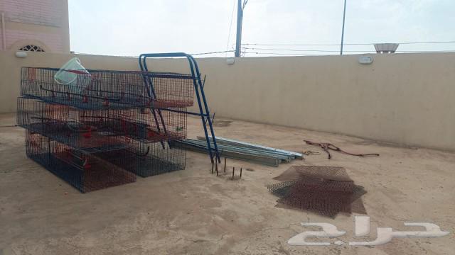 Meat chicken batteries63157195877633113