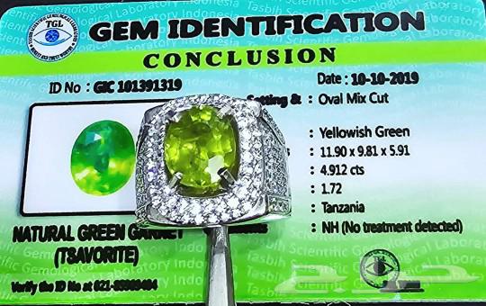 Luxurious natural Tsavorite ring63155754703233111