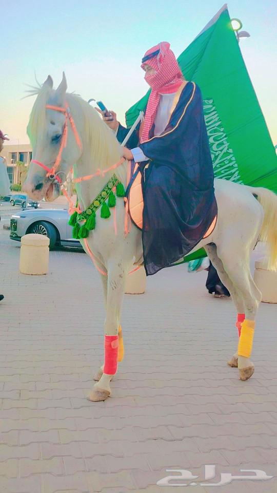 Rent sentences and horses for rent63152043791489113