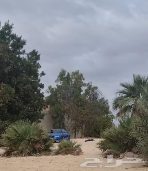 أودي A4 مزيج من الفخامة والأداء الرياضي63220859832450113
