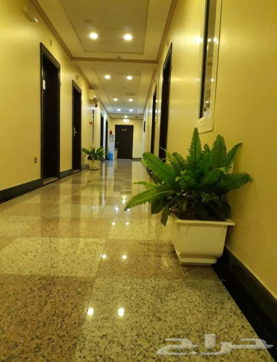 رحلة العمرة وزيارة63498673971330113