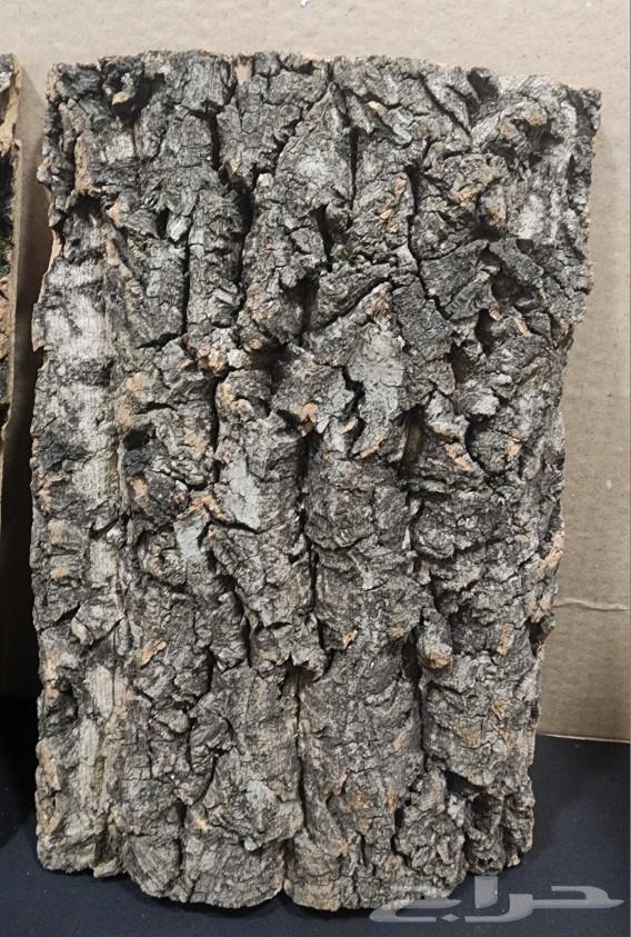 Bark background for terrariums and reptile enclosures63149318919042111