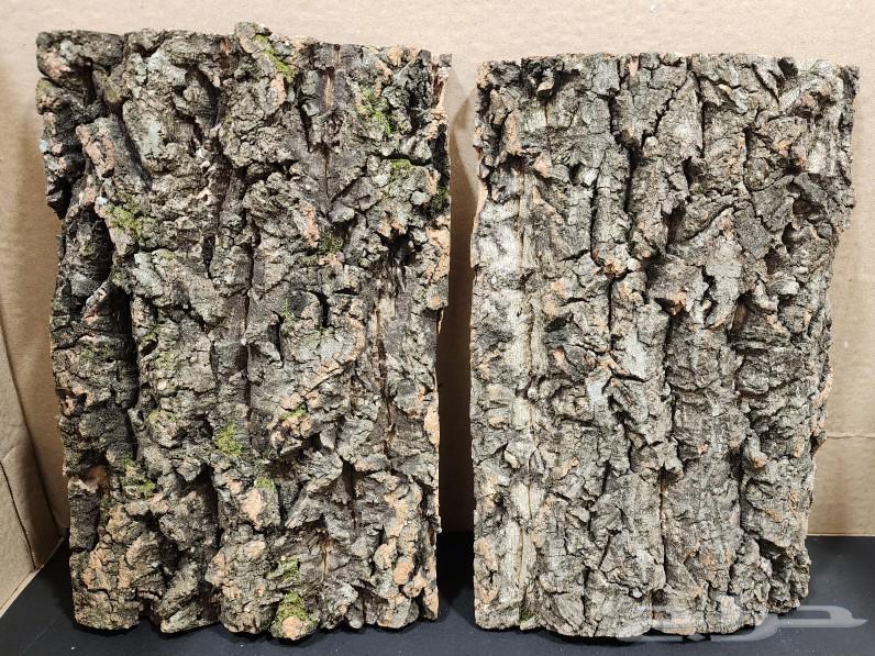 Bark background for terrariums and reptile enclosures63149318919042116