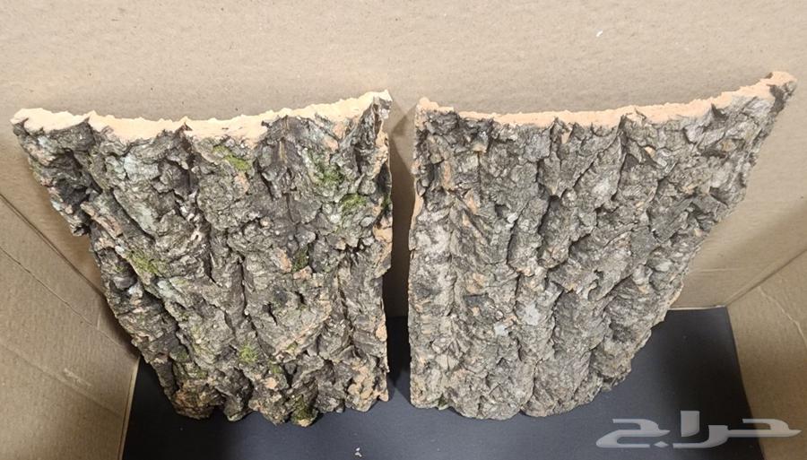 Bark background for terrariums and reptile enclosures63149318919042112