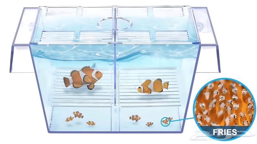 Fish hatchery box631460250863381118