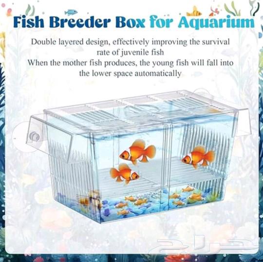 Fish hatchery box63146025086338111