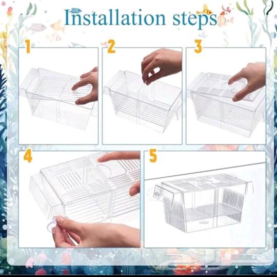 Fish hatchery box63146025086338113