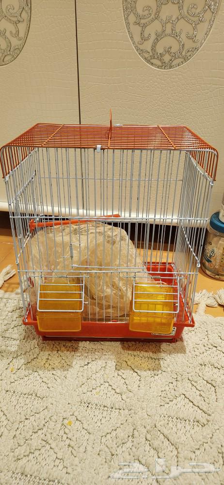 Bird supplies631795878232341114