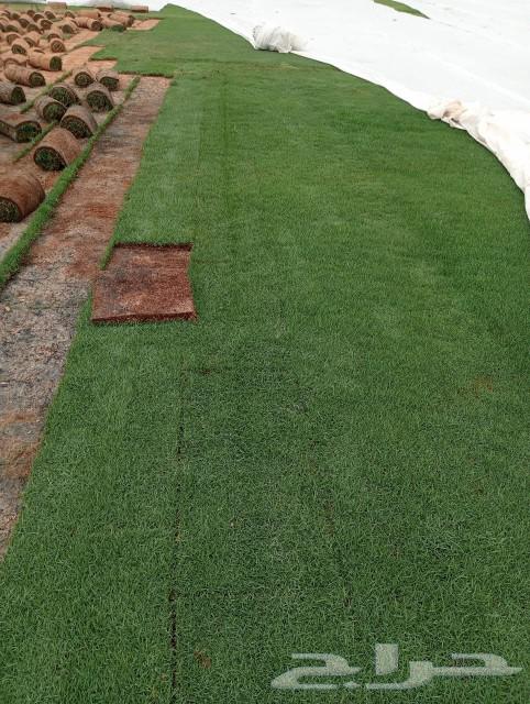 Thil Si 2000, clean and natural site, Al-Kharj63181033756929111