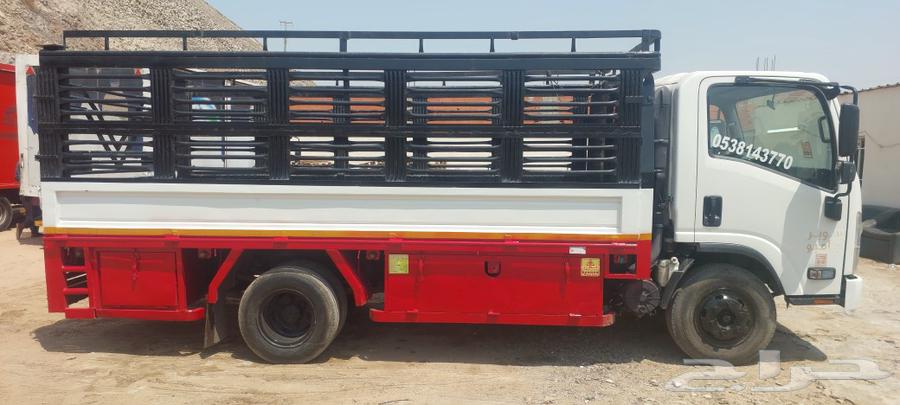 دينا ايسوزو dyna Isuzu63198649728771114