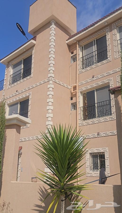 Villa for rent in Mishniya63014746695939111