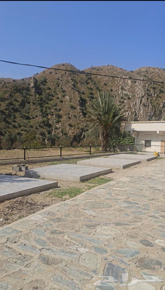 Villa for rent in Mishniya63014746695939114