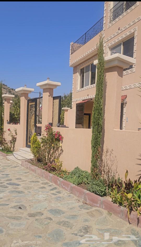 Villa for rent in Mishniya63014746695939112