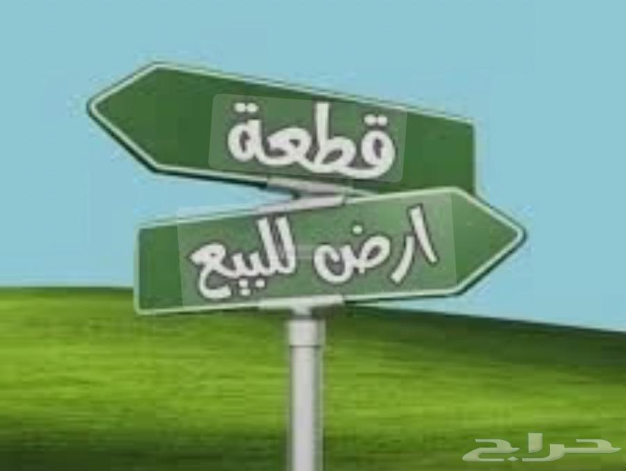 أرض سكنية للبيع في الهفوف حي الصقور63016932538498110