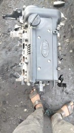 Kia Rio Shield on its agency63197693384323112