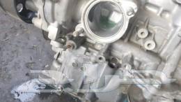 Kia Rio Shield on its agency63197693384323111