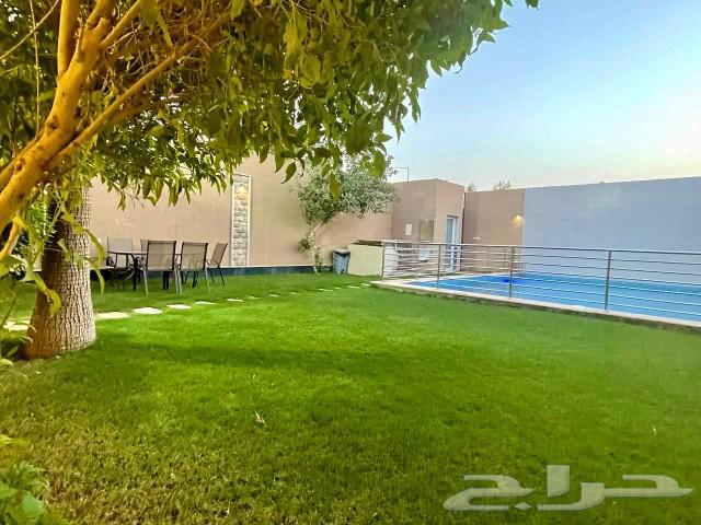 Daily rental villas62885304315139113
