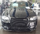 Beard of Celal SRT 201563202712632322112