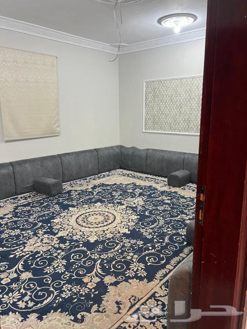 استراحة شموخ في المدينه المنورة للايجار اليومي63016932609538114