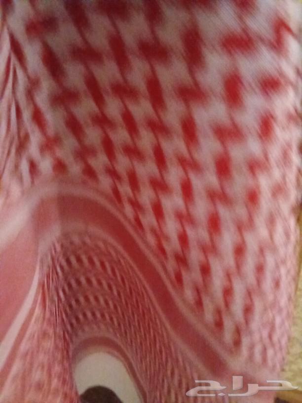 شماغ البسام PLUS مقاس 6063129098443267113