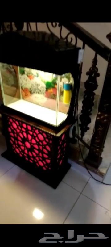 Fish tank design according to norm63128324044290112