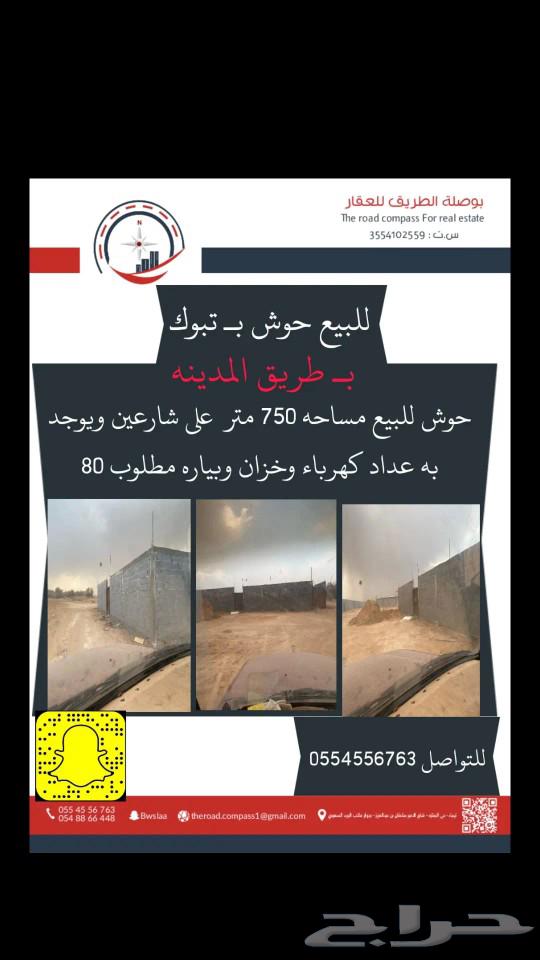 تبوك63185774410626112