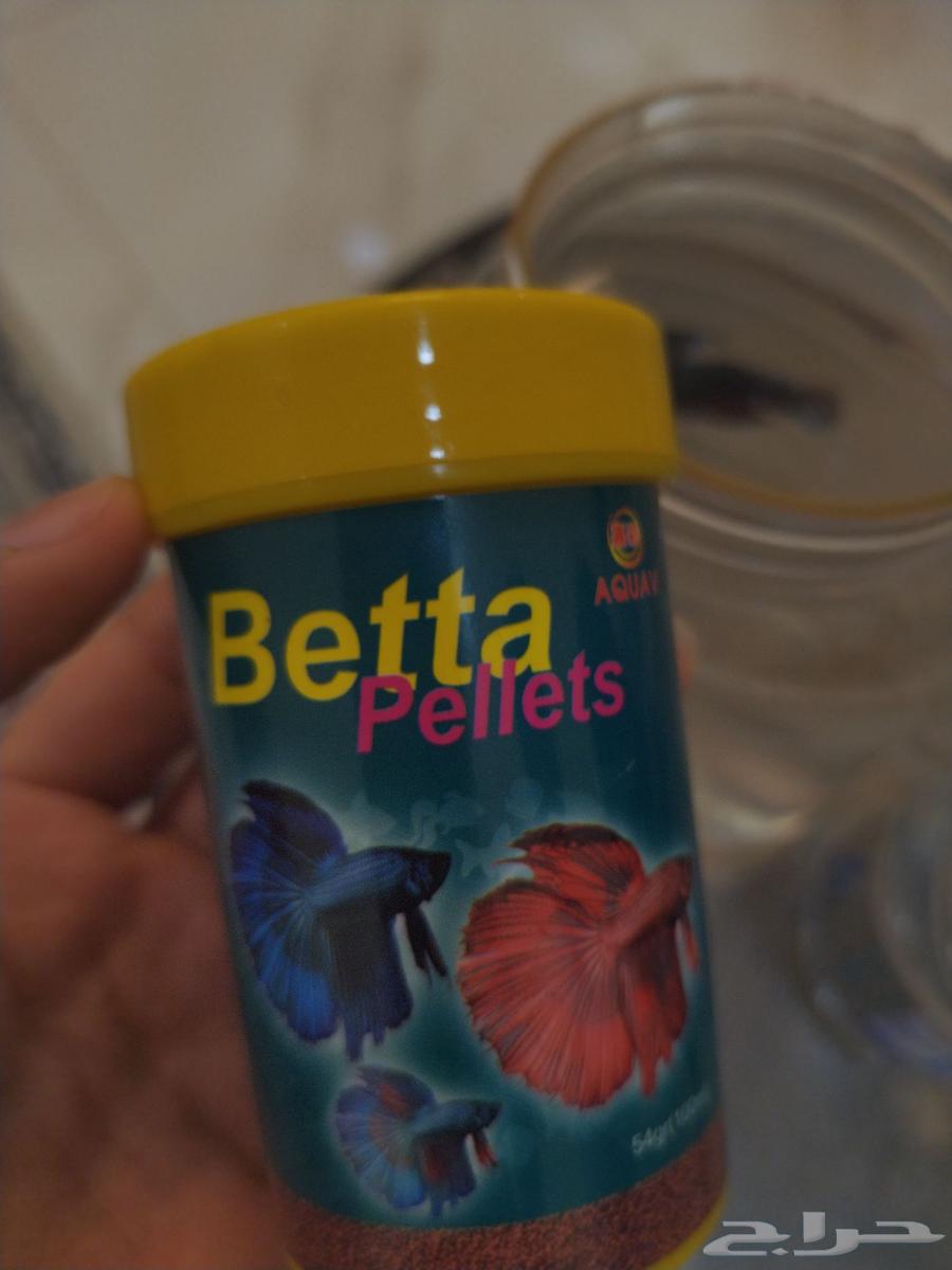 fish63126763692930113