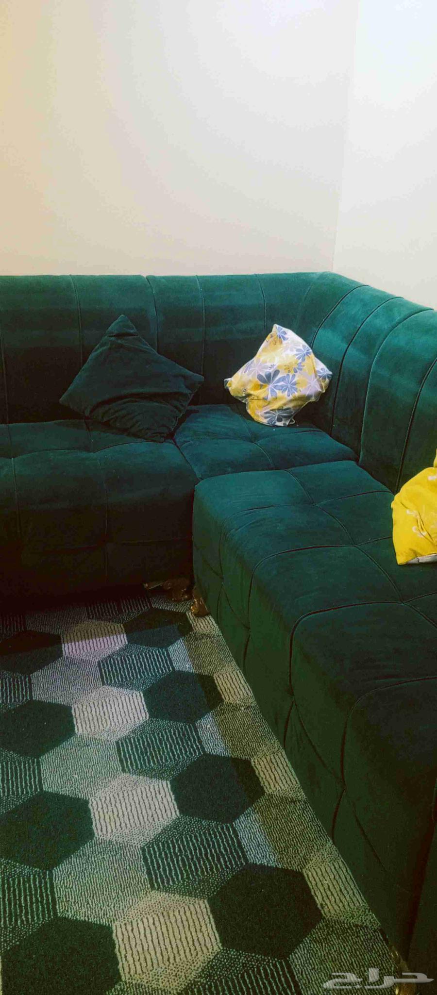 كنب للبيع مستعجل ب50064624572959617114