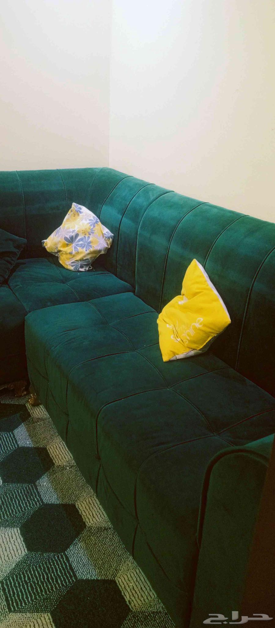 كنب للبيع مستعجل ب50064624572959617113