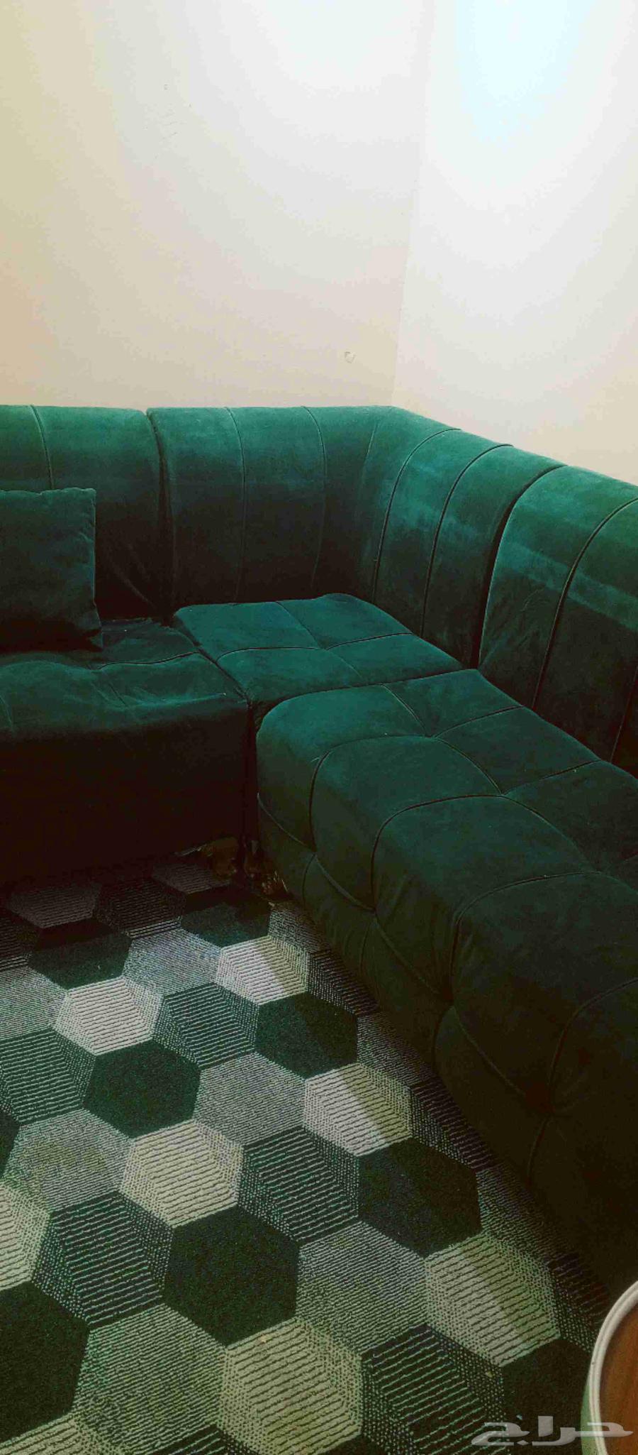 كنب للبيع مستعجل ب50064624572959617112