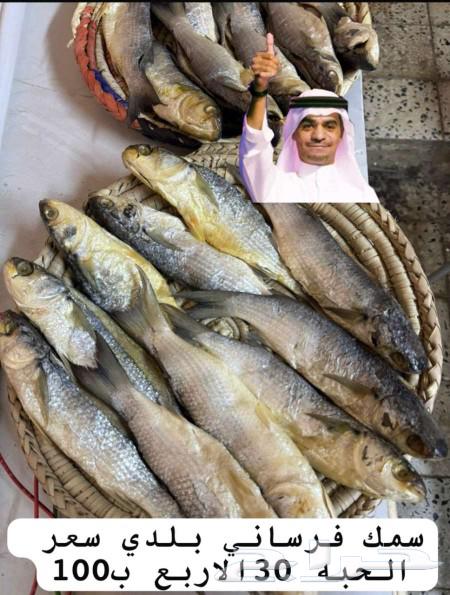 للبيع سمك فرساني بلدي جديد حوت مالح63124852655874115