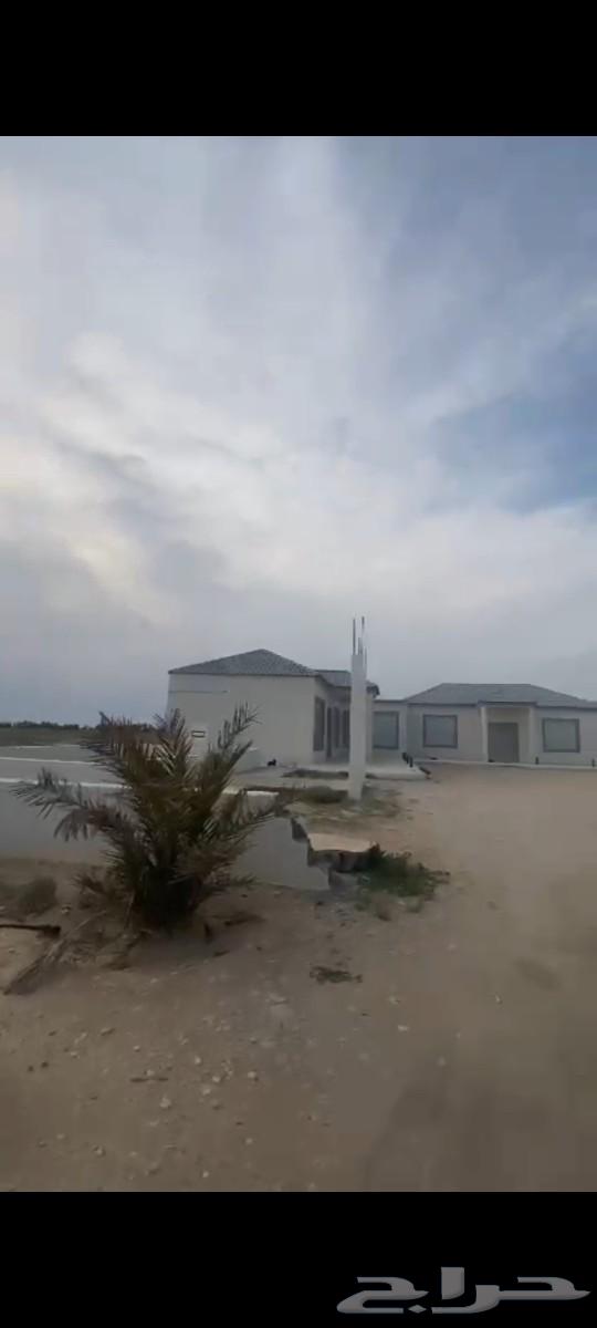 For sale, agricultural land west of Al-Muzanib63015673822723112