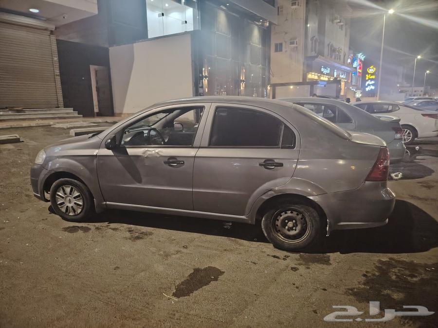 شفر63181828077186111