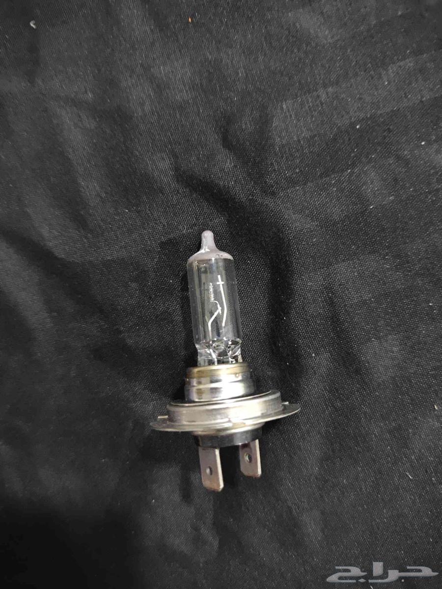 Yellow bulbs of Suzuki gsxr motorcycle63180858424195112