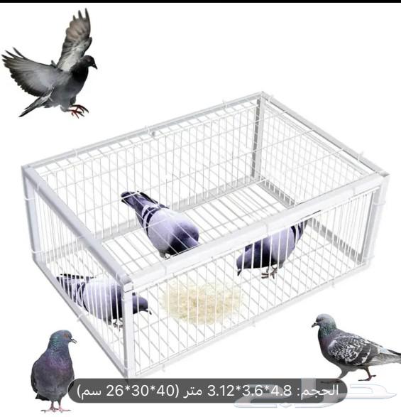 It is a trap or bird trap.631230312677151128