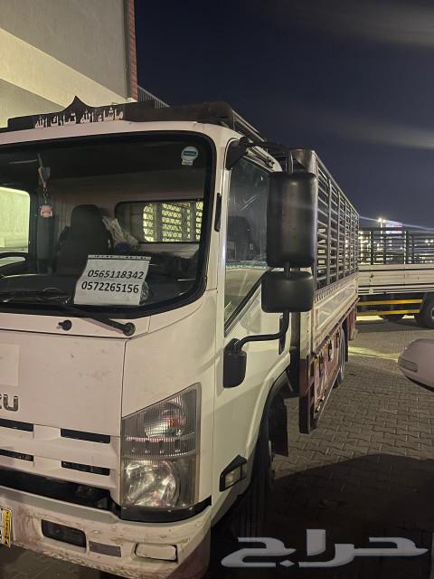 Dina Transfer furniture inside and outside Al-Batin洼地630191036142101124