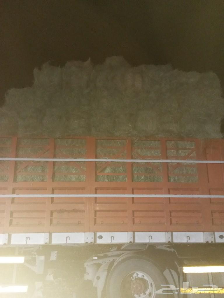 Hello, feed markets in Wadi Al-Dawasir63176217258883113