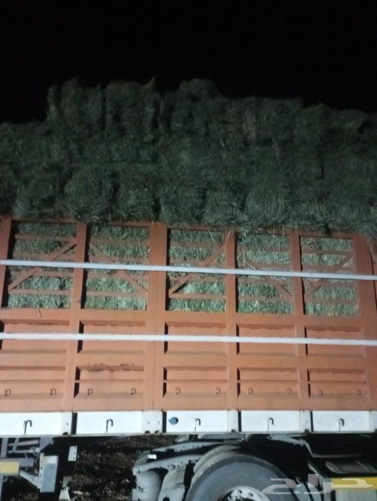 Hello, feed markets in Wadi Al-Dawasir63176217258883111