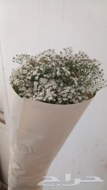 ورد طبيعى63118566190466112