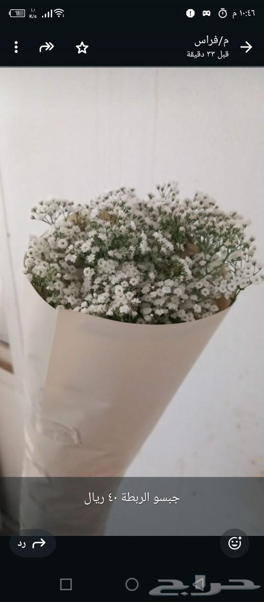 ورد طبيعى631185661904661121