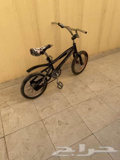 سيكل مقاس 16631181777474591125