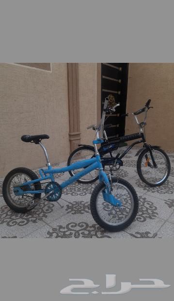 Cobra cycle631773369175071114