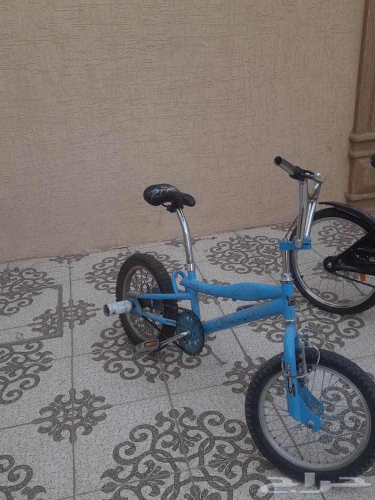سيكل كوبرا63177336917507112