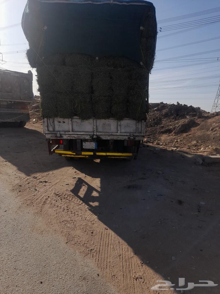 برسيم صافي ورق63177703732993111