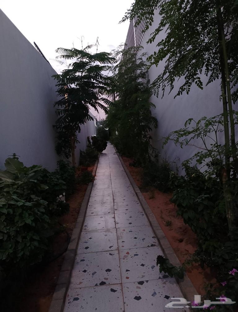 Villas in Al-Ramal district62884394303363114