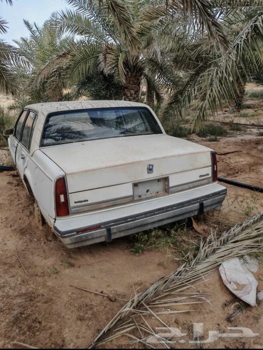 oldznobail اولدزنوبيل63114551807107111