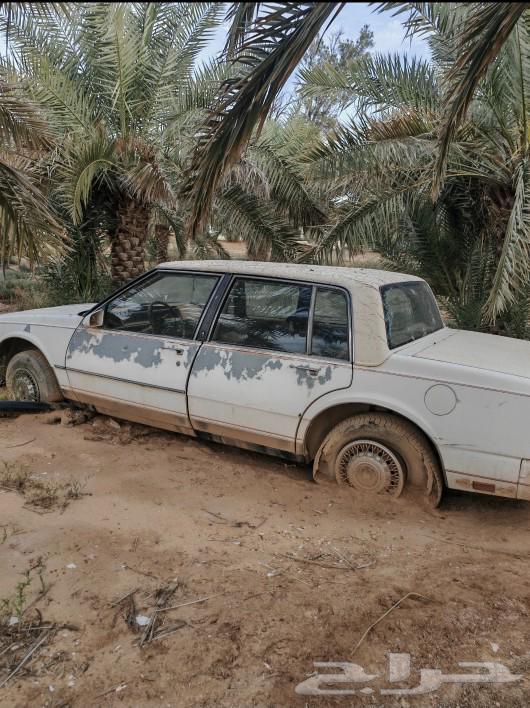 oldznobail اولدزنوبيل63114551807107115