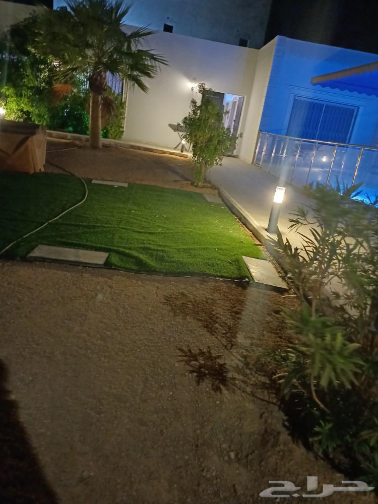 شالية إيجار يومي قفار الشرقي غياض63010617480834114